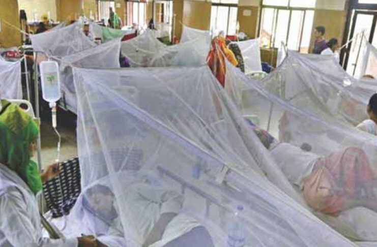 ডেঙ্গুতে ২ জনের মৃত্যু