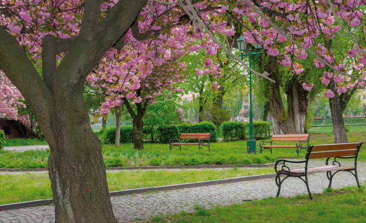 প্রতীকী ছবি