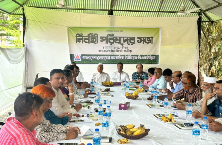 বিএফইউজে