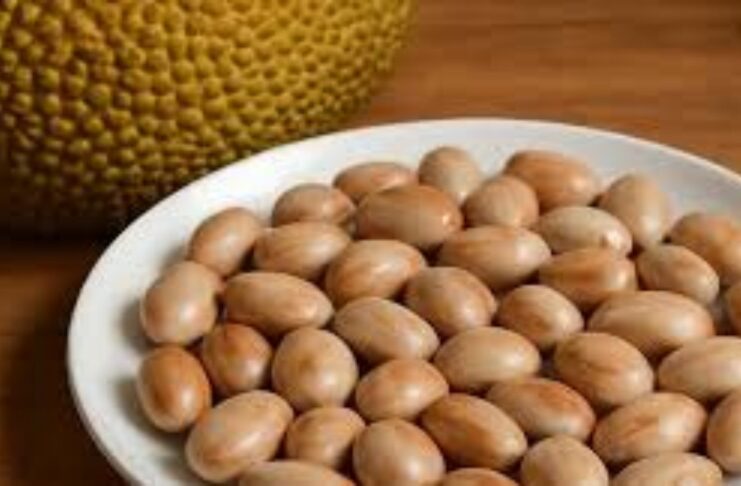 কাঁঠালের বিচি: পুষ্টির এক অনন্য উৎস